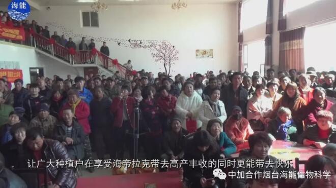 直击辽宁百万农民会 直击辽宁百万农民会