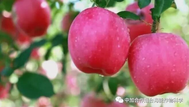 2019改变务果观念 2019改变务果观念