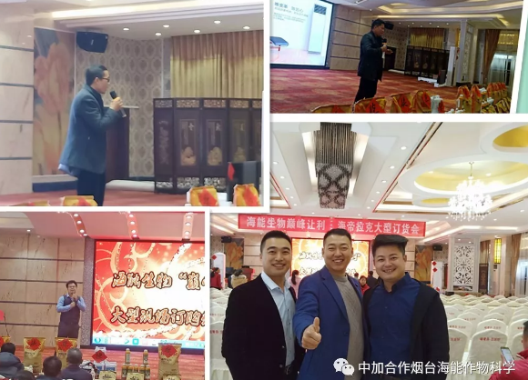 海帝拉克巅峰会议背后的故事第二集来袭 海帝拉克巅峰会议背后的故事第二集来袭