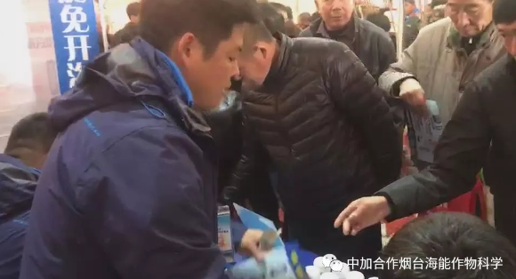 小优视频APP官网入口生物带你玩转烟台苗木会 小优视频APP官网入口生物带你玩转烟台苗木会