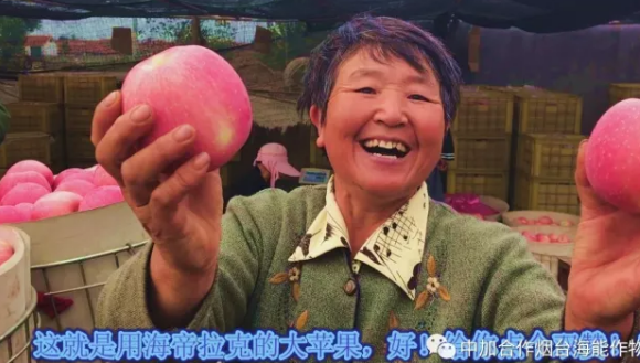 用实力证明一切-----众多种植户都在说这样的一句话 用实力证明一切-----众多种植户都在说这样的一句话