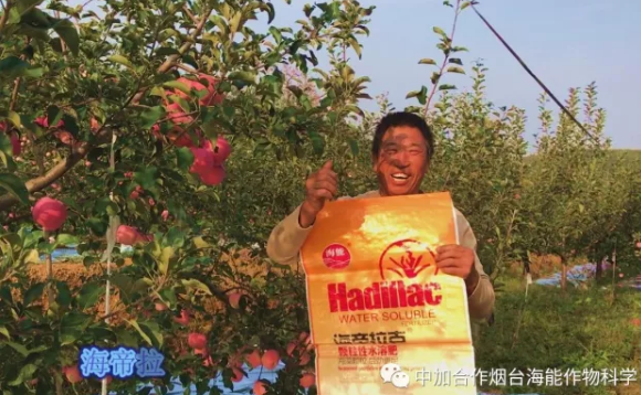 用实力证明一切-----众多种植户都在说这样的一句话 用实力证明一切-----众多种植户都在说这样的一句话
