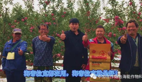 用实力证明一切-----众多种植户都在说这样的一句话 用实力证明一切-----众多种植户都在说这样的一句话