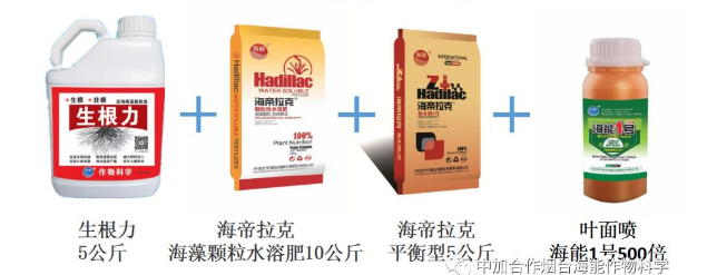 小优视频APP官网入口生物高品质葡萄全程“傻瓜式”施肥方案 小优视频APP官网入口生物高品质葡萄全程“傻瓜式”施肥方案