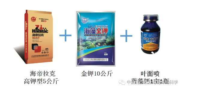 小优视频APP官网入口生物高品质葡萄全程“傻瓜式”施肥方案 小优视频APP官网入口生物高品质葡萄全程“傻瓜式”施肥方案