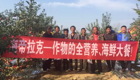 苹果树12月管理技术要点！抓紧时间看
