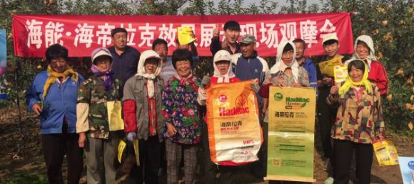 苹果树12月管理技术要点！抓紧时间看
