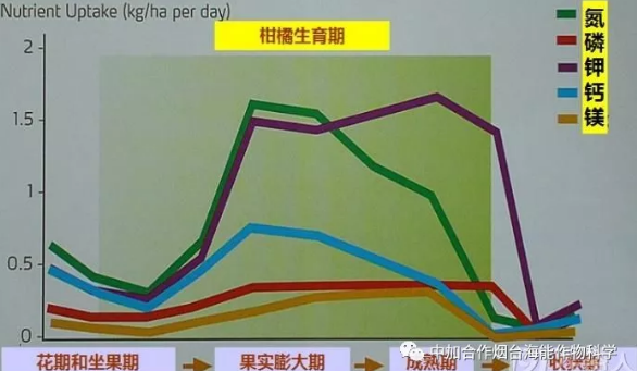 不同种类肥料对柑橘果实膨大的影响 不同种类肥料对柑橘果实膨大的影响