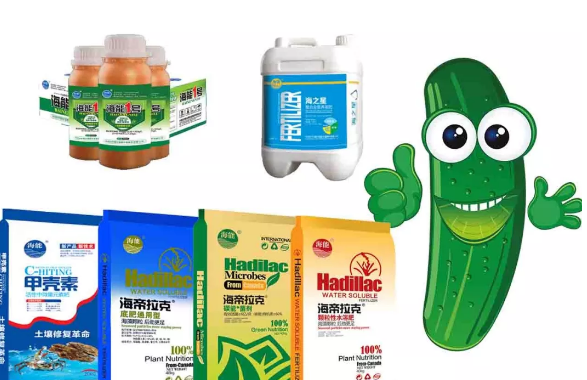 小优视频APP官网入口生物黄瓜全程施肥技术 小优视频APP官网入口生物黄瓜全程施肥技术