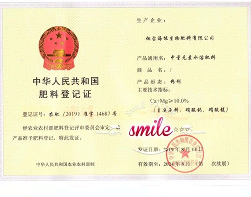 付出终会有回报，功夫不负有心人