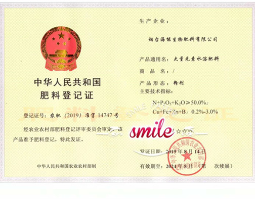 付出终会有回报，功夫不负有心人
