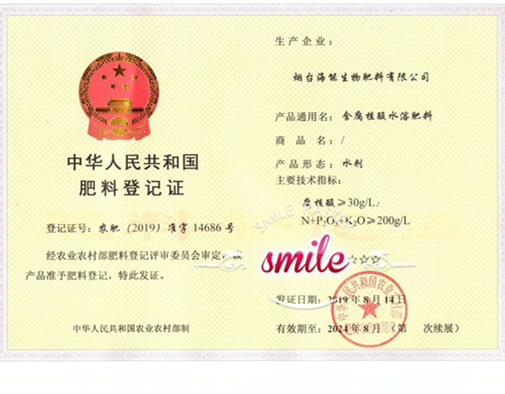 付出终会有回报，功夫不负有心人