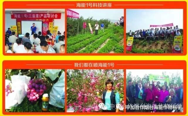 抗寒利器，小优视频APP官网入口1号